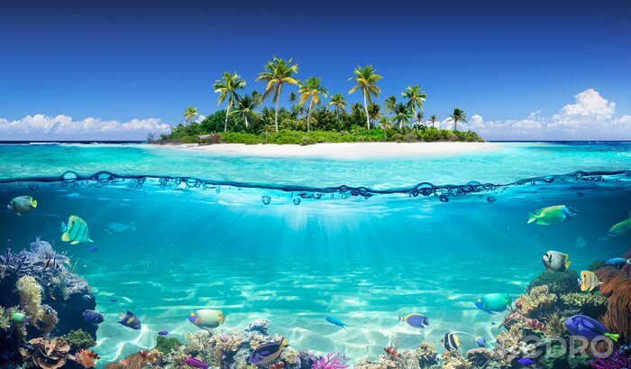 Poster Eiland oceaan en koraalrif