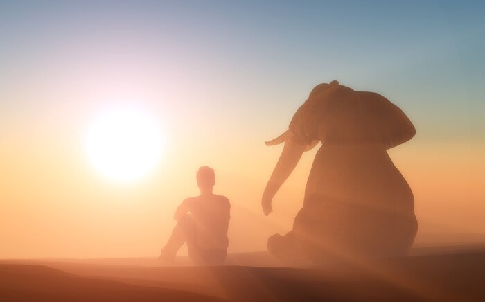 Poster Elephant and man