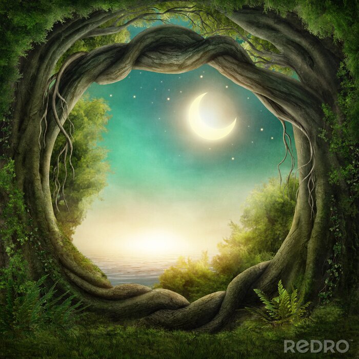 Poster Enchanted donker bos