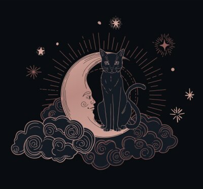 Poster Esoterische kat op de maan