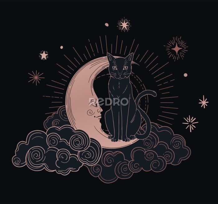Poster Esoterische kat op de maan
