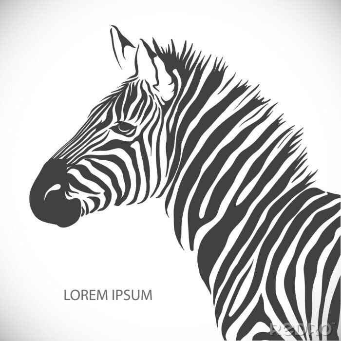 Poster Etiket met het hoofd van een zebra. Vector.