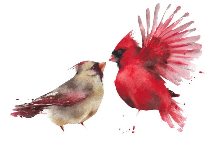Poster Exotische aquarel vogels