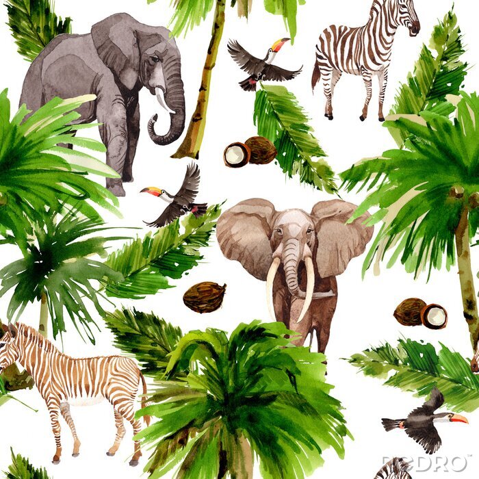 Poster Exotische dieren op een witte achtergrond