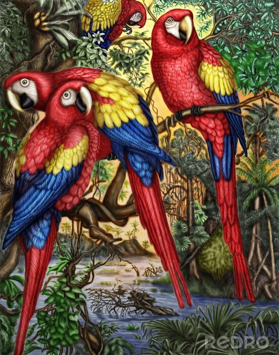Poster Exotische papegaaivogels