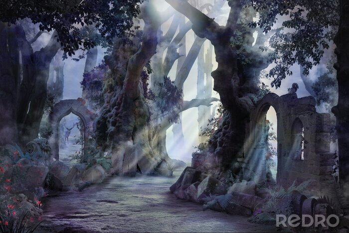 Poster Fantasie mistig bos