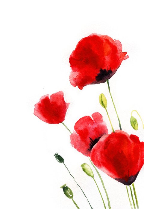 Poster Fijne klaprozen op dunne stelen