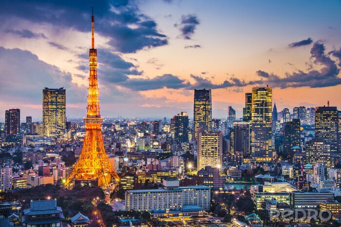 Poster Financiële wijk met de Tokiotoren bij nacht