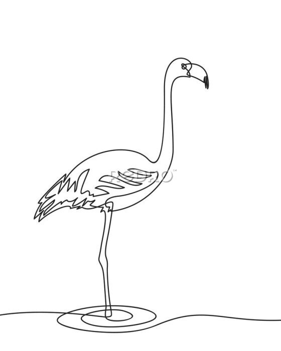 Poster flamingo