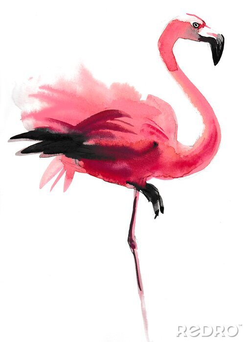 Poster Flamingo met een zwarte snavel