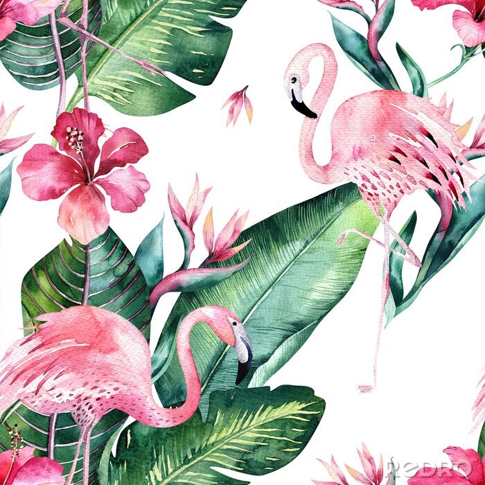 Poster Flamingo's bloemen en monstera bladeren op motief met witte achtergrond