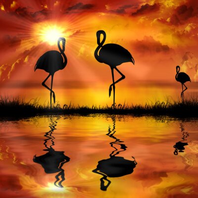 Poster Flamingo's in de zon