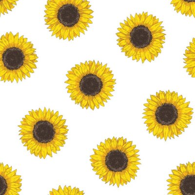 Behang Floral seamless pattern with sunflower heads. Botanical backdrop with blooming flower or cultivated crop hand drawn on white background. Natural vector illustration in vintage style for fabric print.