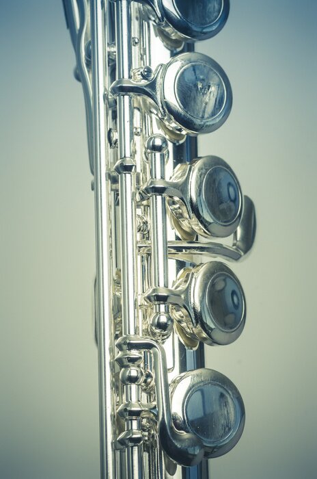 Poster Fluit in doos