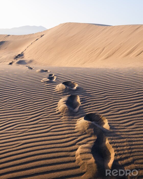 Poster Footprints on sand in the desert stretching into the distance. Hot landscape with sand dunes against the clear sky