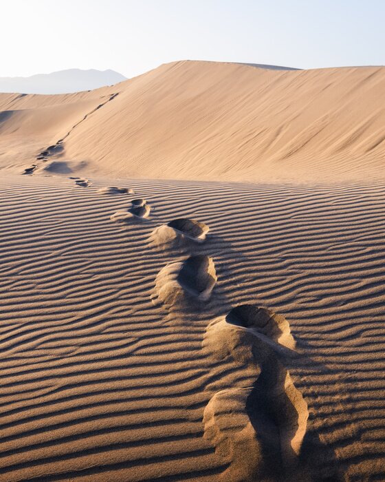 Poster Footprints on sand in the desert stretching into the distance. Hot landscape with sand dunes against the clear sky