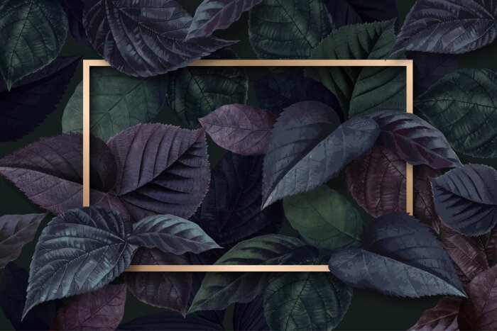 Poster Forest leaf frame