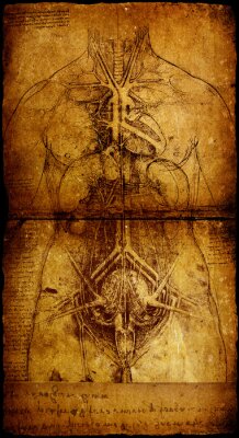 .. Foto van de Man van Vitruvius van Leonardo Da Vinci