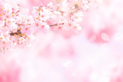 Poster Foto van een bloeiend takje in roze kleuren