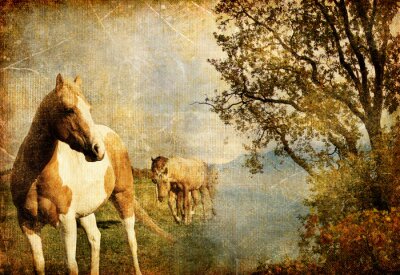 Foto van paarden in retrostijl