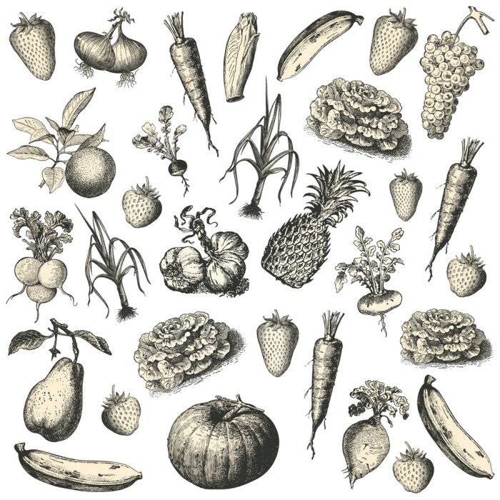 Poster Fruit illustraties schets