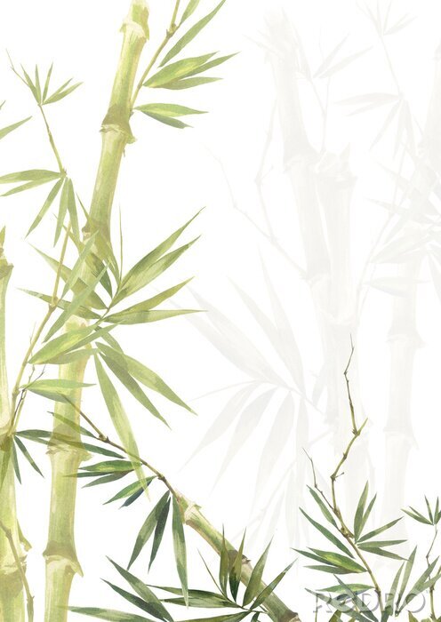Poster Geïllustreerde lichtgroene bamboe