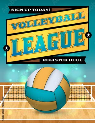 Poster Geïllustreerde volleybal met typografie