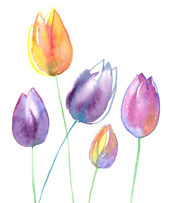 Poster Gele en paarse tulpen gevuld met waterverf