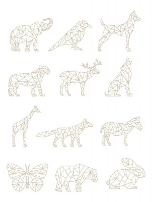 Geometrische afbeeldingen van dieren