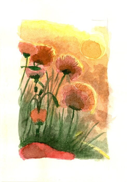 Poster Gepoederde papavers draaiden zich naar de zon