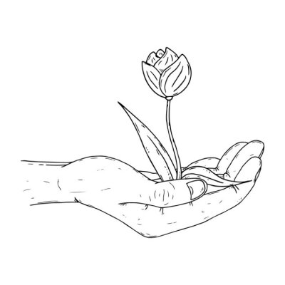 Poster Getekende tulp op een mannelijke hand