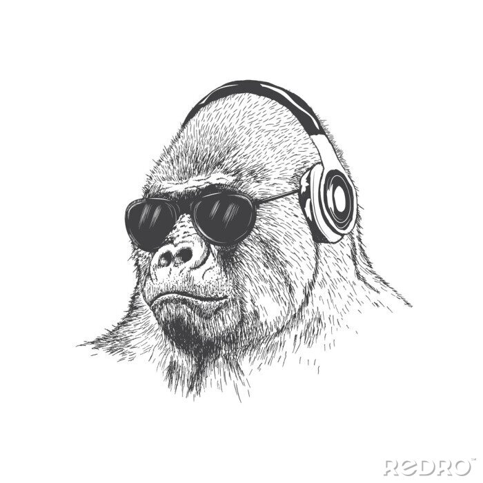 Poster getrokken Monkey muziekfan kant vector