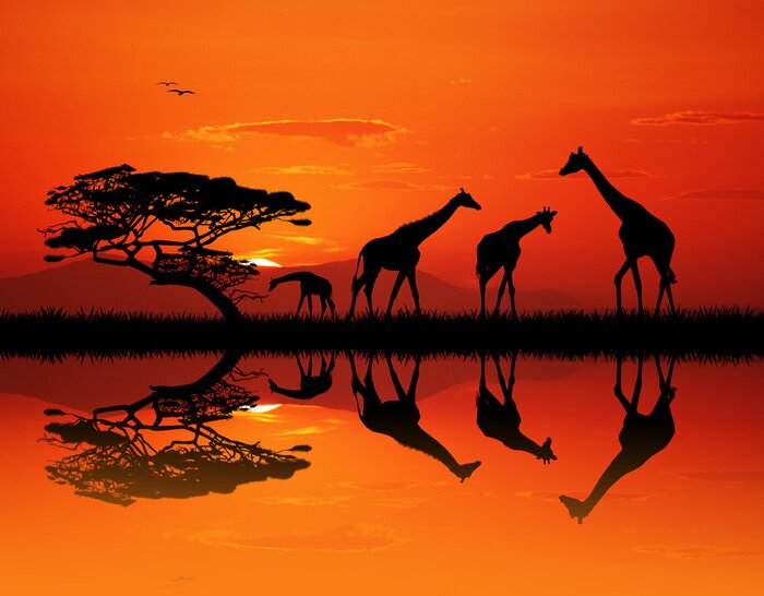 Poster giraffe silhouet in Afrikaans landschap