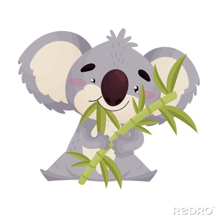 Poster Glimlachende koala die bamboebladeren eet