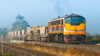 Goederentrein op route