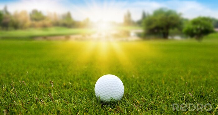 Poster Golf ball on green grass on blurred beautiful landscape of golf course with sunrise,sunset time on background. 