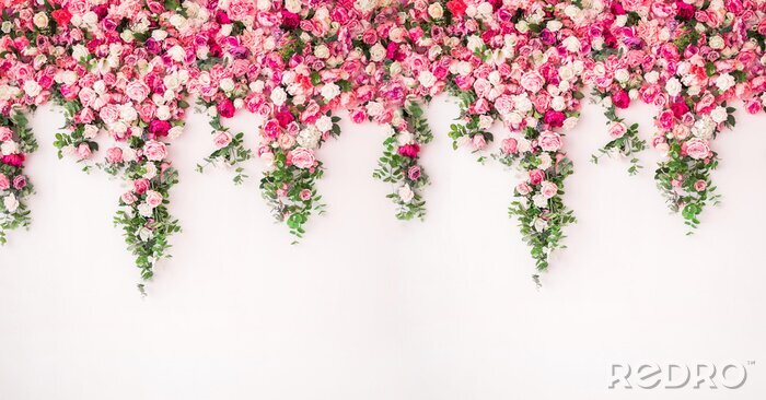 Poster Gordijn van roze en witte rozen