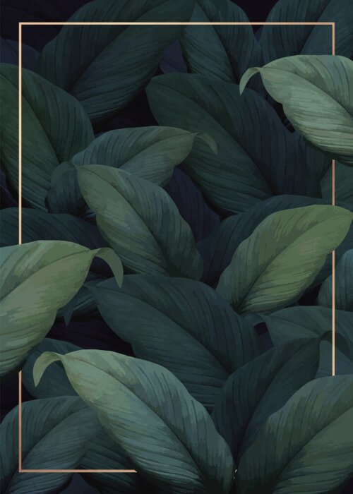 Poster Gouden frame en donkergroene bladeren