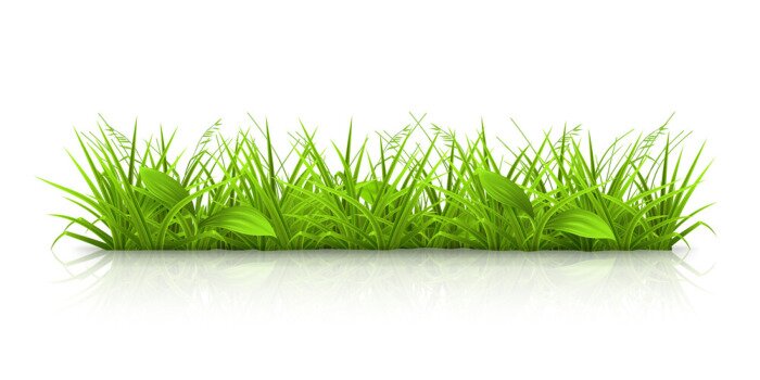 Poster Grafisch gras op witte achtergrond