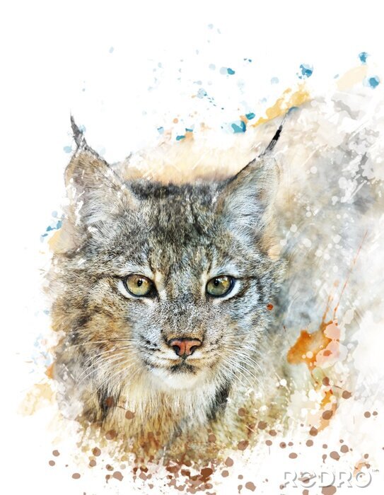 Poster Grafische kat in aquarel