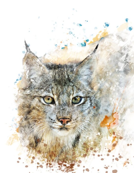 Poster Grafische kat in aquarel