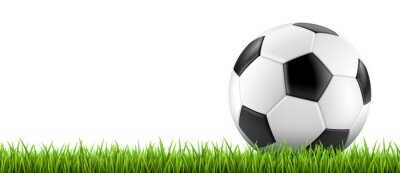 Poster Grafische weergave van een voetbal op het gras in 3D-stijl.