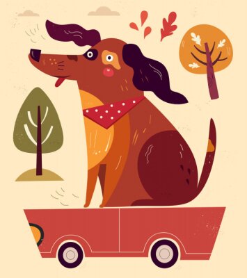 Poster Grappig hondje in de auto