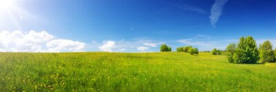Fotobehang Gras op een idyllisch landschap