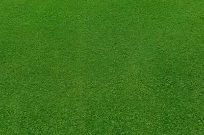 Gras vanuit vogelperspectief