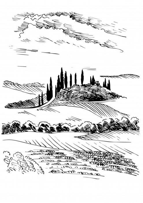 Poster Green grass field on small hills. Meadow, alkali, lye, grassland, pommel, lea, pasturage, farm. Rural scenery landscape panorama of countryside pastures. Vector sketch illustration