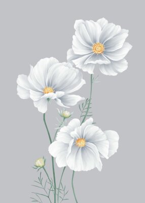 Poster Grijze bloemblaadjes van wilde bloemen