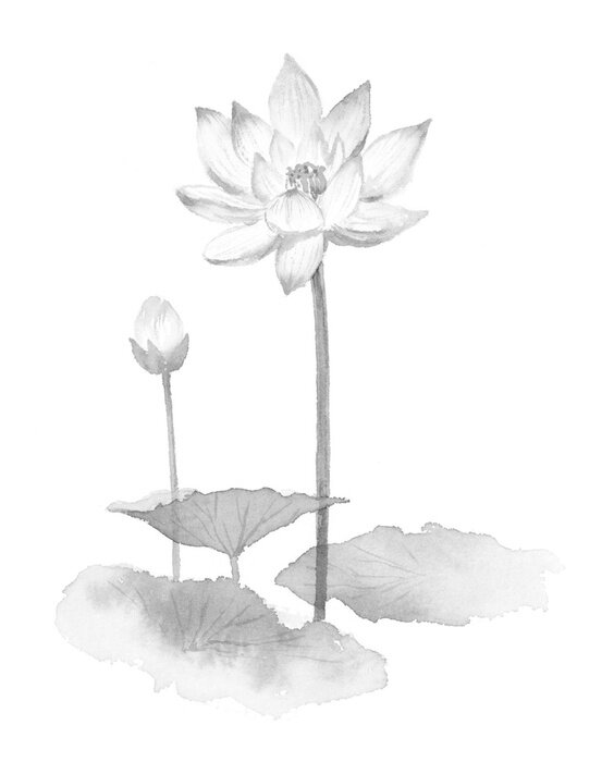 Poster Grijze bloemen en bladeren