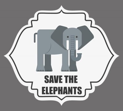 Poster Grijze olifant