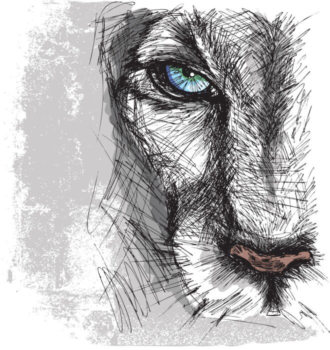 Poster Grijze schets van een poema